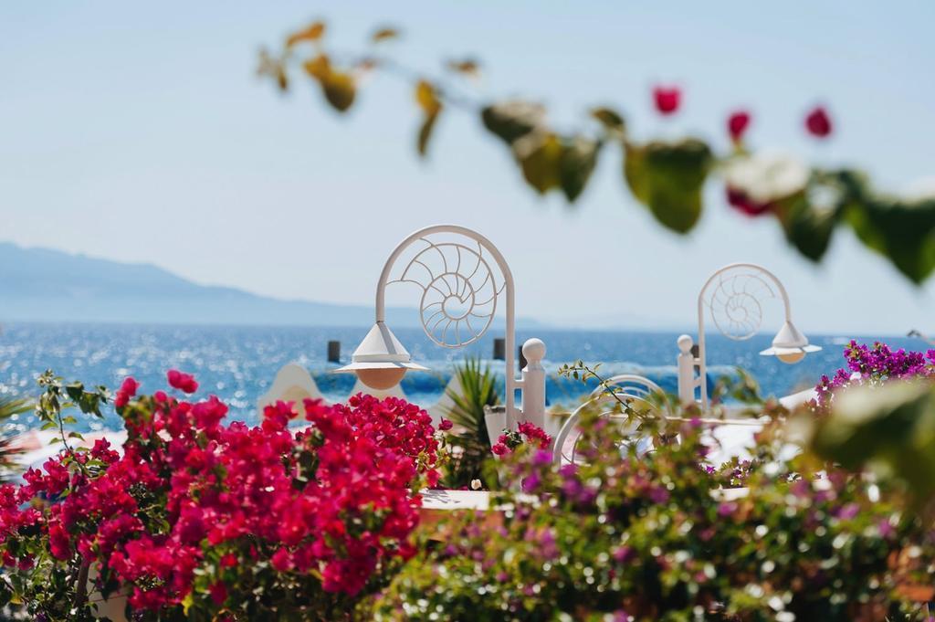 Luxury Diva Saranda Bougainville Eksteriør bilde